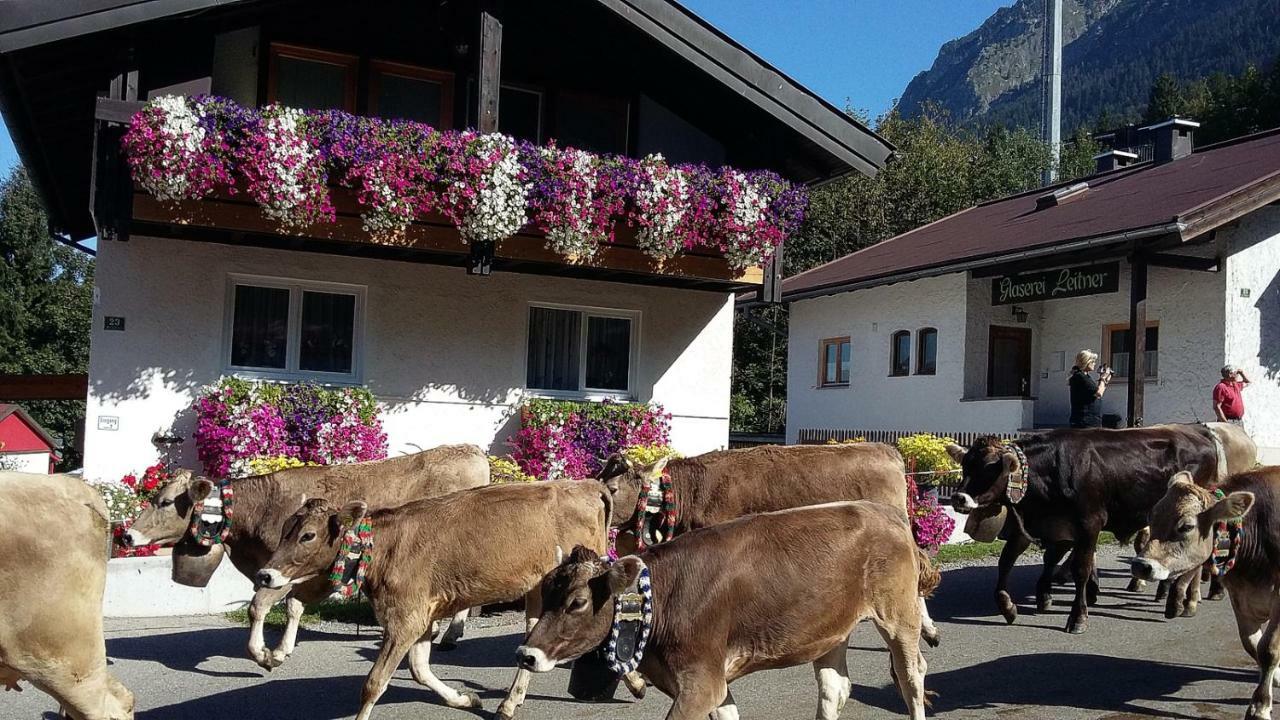 Ferienwohnung Schanzenblick Oberstdorf Dış mekan fotoğraf